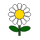 marguerite