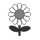 marguerite